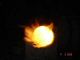 DSC03179-2.jpg